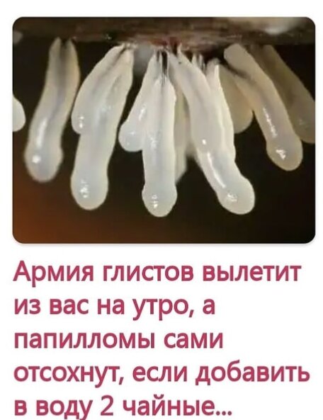 Рекламная картинка 4